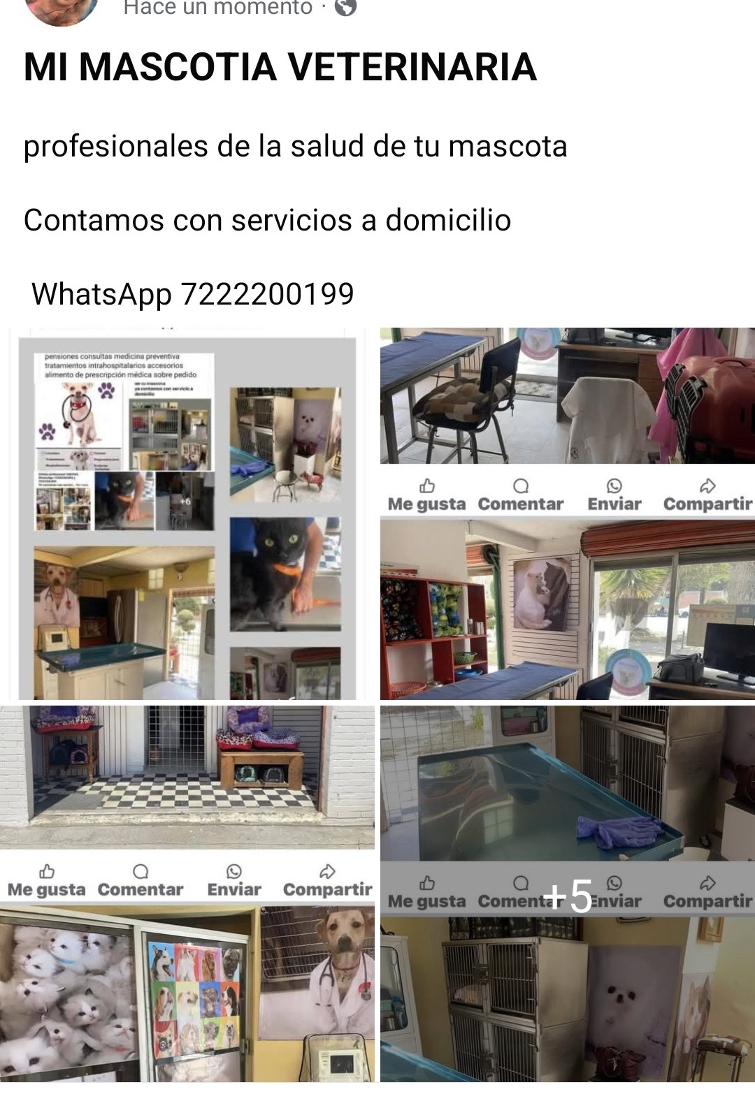 Publicación veterinaria